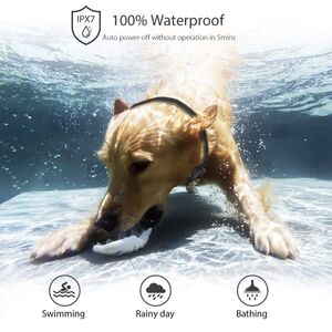 PatPet training collar